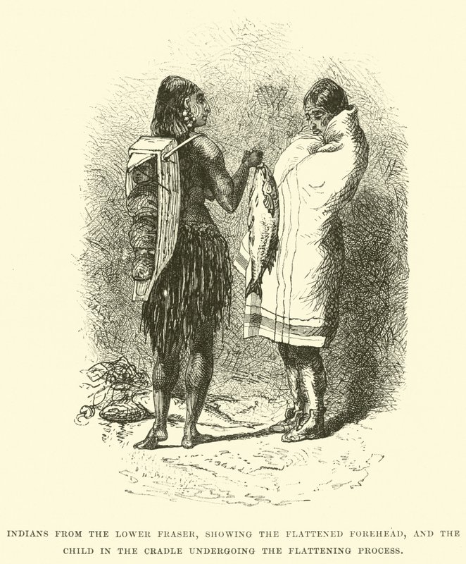Indios del Bajo Fraser, mostrando la frente aplanada, y el niño en la cuna sometido al proceso de aplanamiento de English School