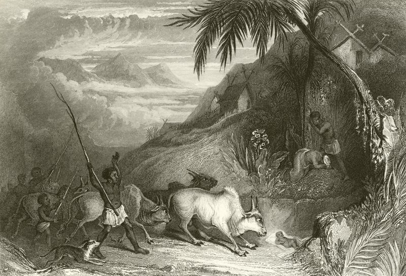 Infanticidio en Madagascar de English School
