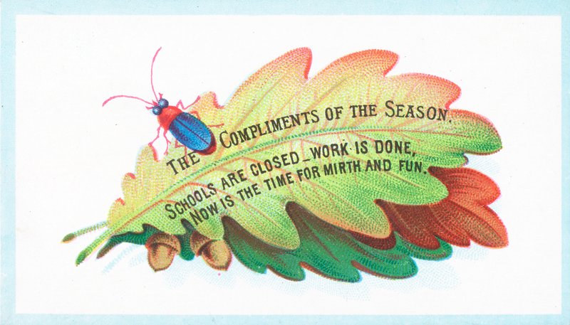 Insecto en hojas de roble, Tarjeta de Navidad de English School