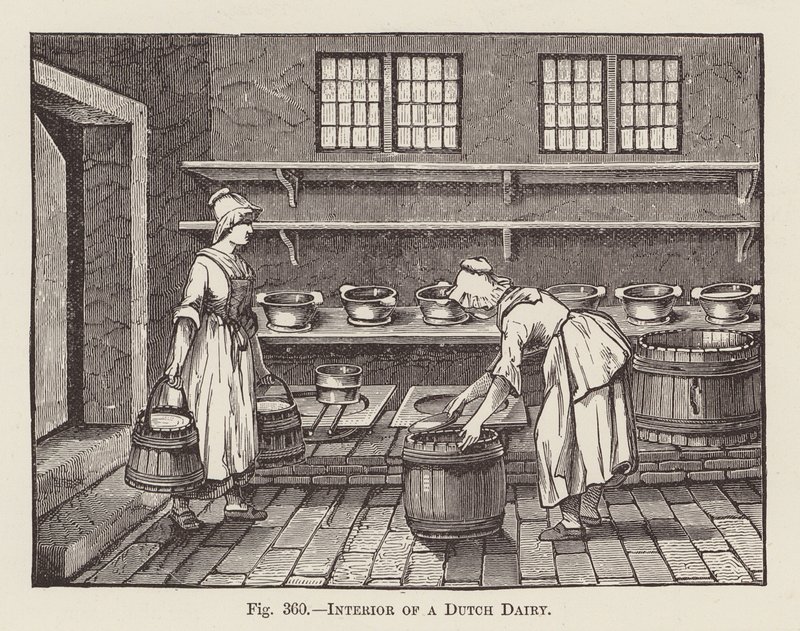 Interior de una lechería holandesa (grabado) de English School