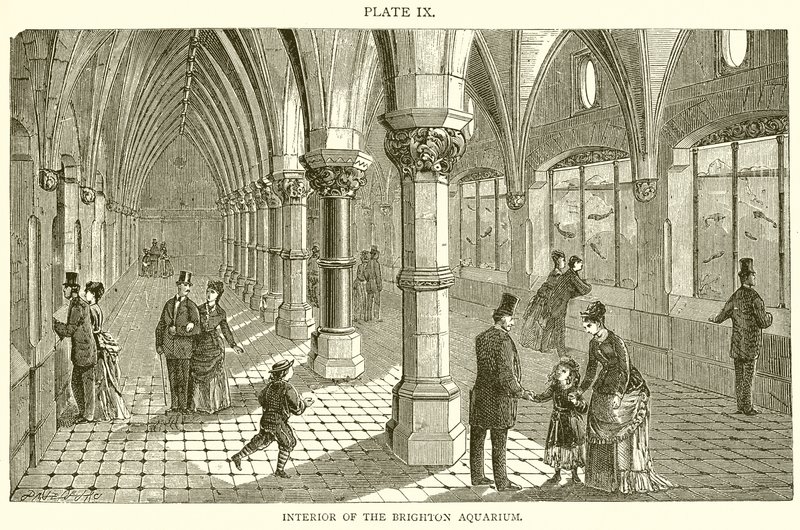 Interior del acuario de Brighton de English School