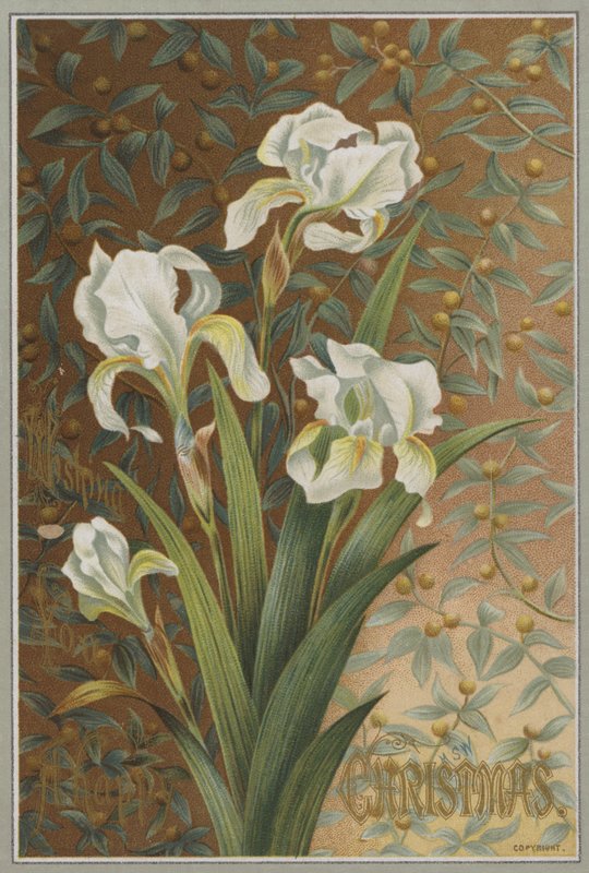 Iris (cromolito) de English School