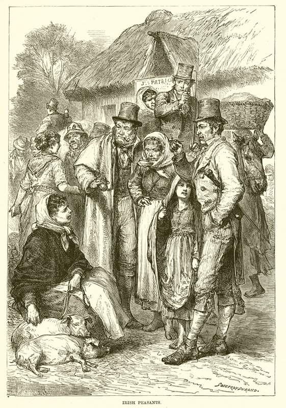 Campesinos irlandeses de English School
