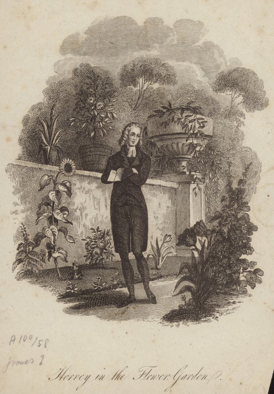 James Hervey en el jardín de flores de English School