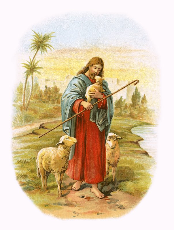 Jesús, el buen pastor de English School