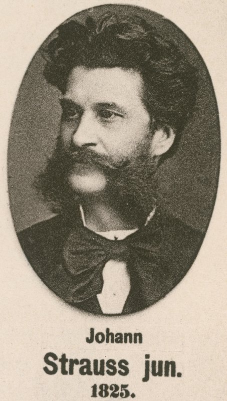 Johann Strauss Junior de English School