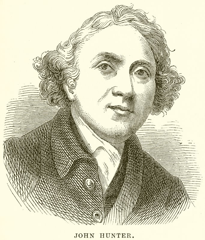 John Hunter de English School