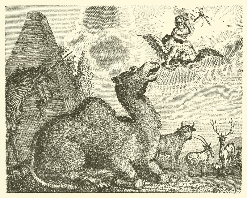 Júpiter y el camello (grabado) de English School