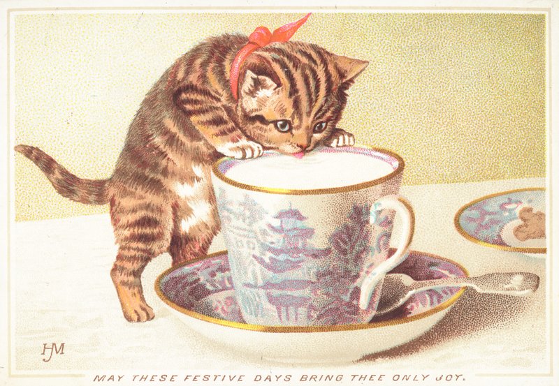 Gatito bebiendo de una taza de té de English School