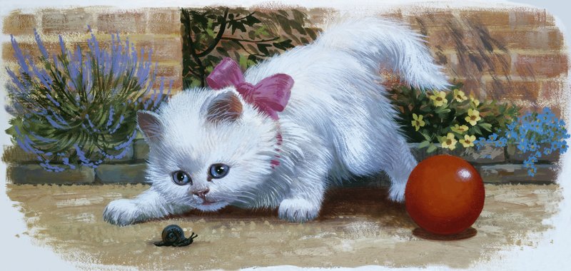 Gatito con caracol y bola de English School