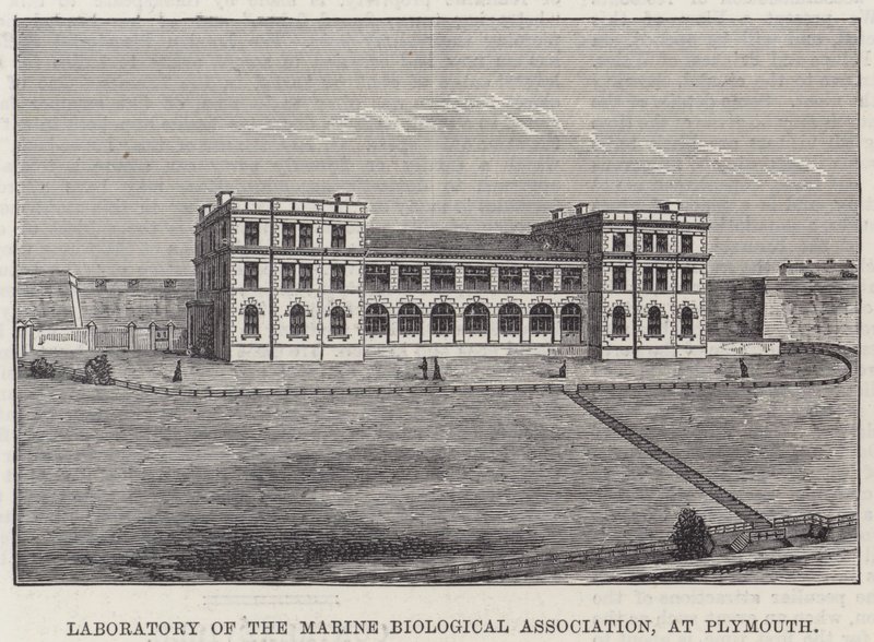 Laboratorio de la Asociación Biológica Marina, en Plymouth de English School