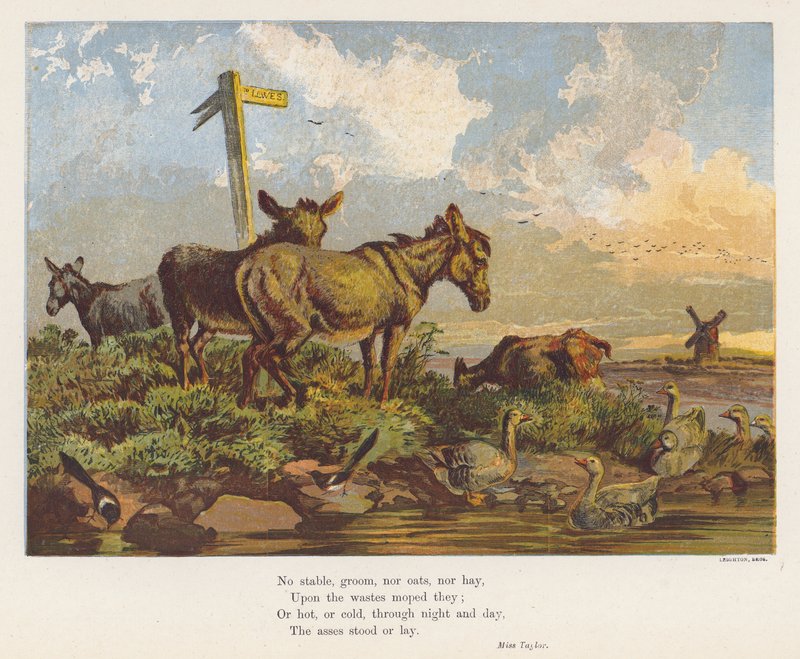 Paisaje con burros y pájaros (litografía en color) de English School