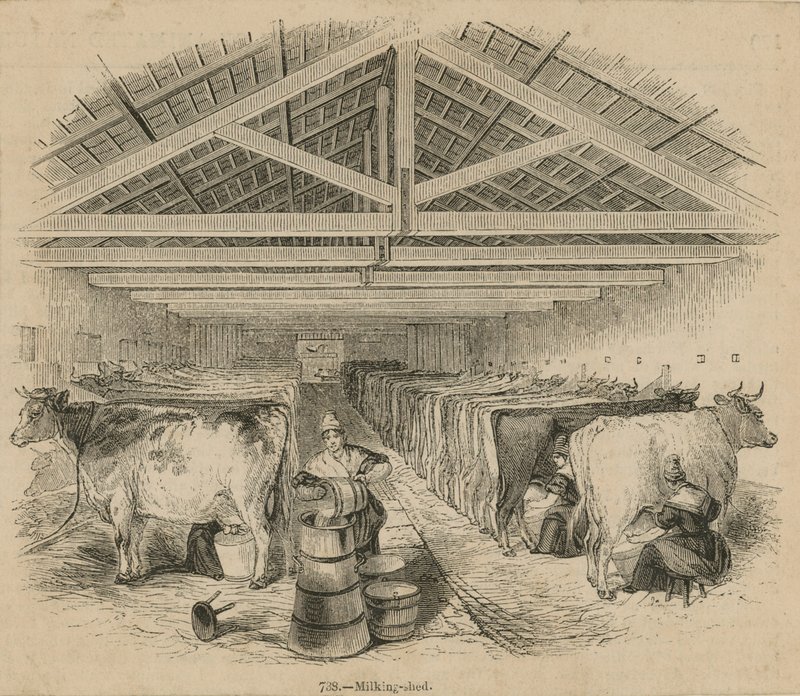 Granja Lechera Laycocks, julio de 1841 de English School