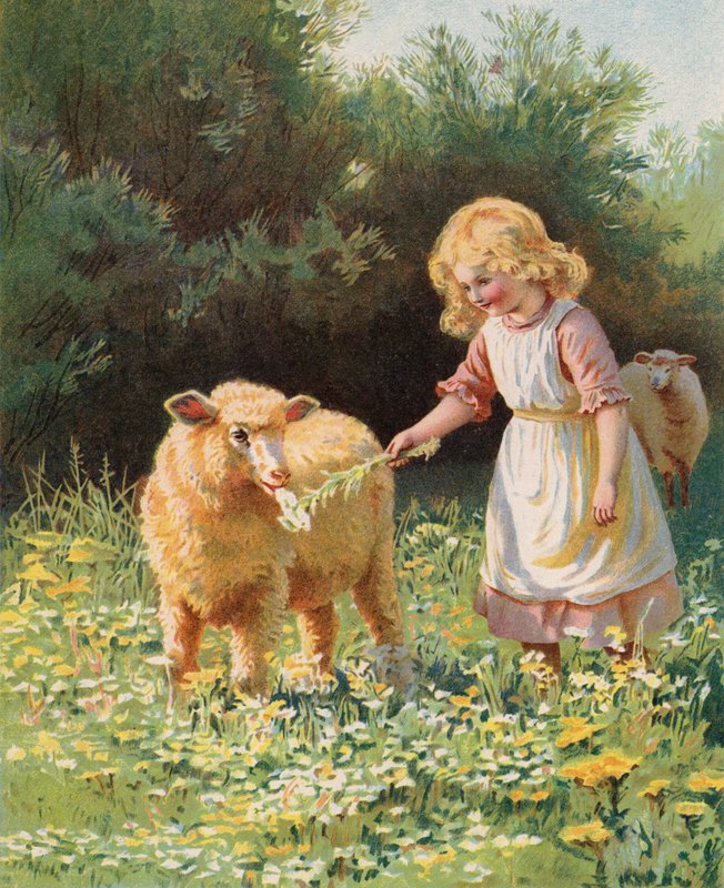 Niña alimentando una flor a una oveja en un prado (chromolitho) de English School