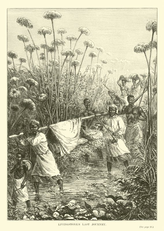 El último viaje de Livingstone de English School