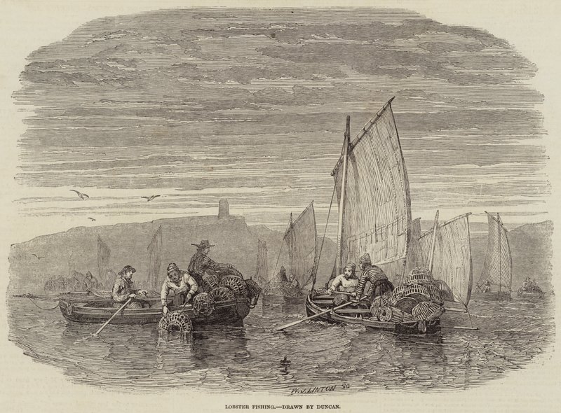 Pesca de langosta de English School