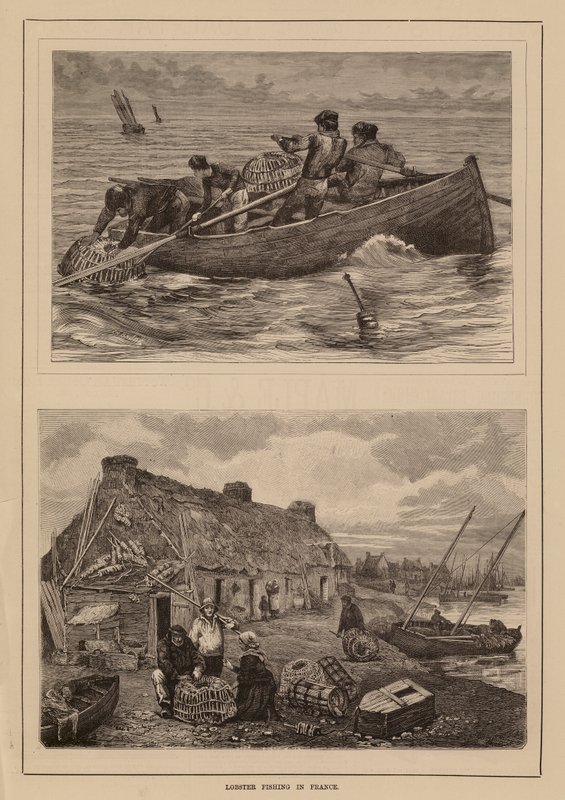 Pesca de langosta, Francia (grabado) de English School