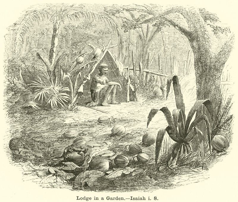 Cabaña en un jardín de English School
