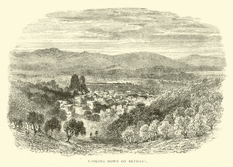 Vista de Betania de English School