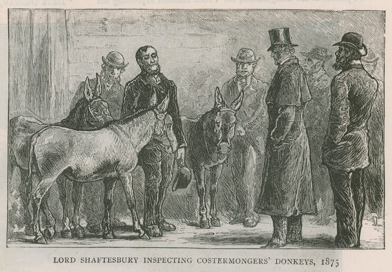 Lord Shaftesbury inspeccionando los burros de los costermongers de English School