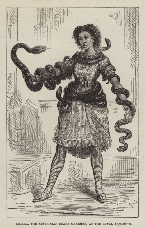 Lualla, la encantadora de serpientes abisinia, en el Royal Aquarium (grabado) de English School