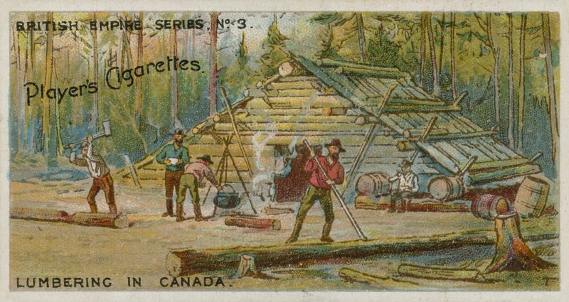 Explotación forestal en Canadá de English School