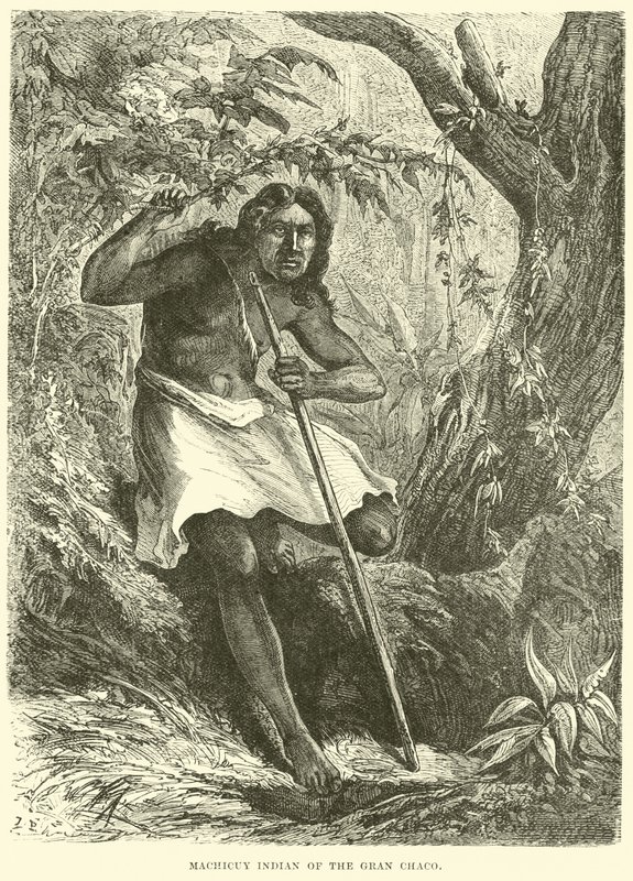 Indio Machicuy del Gran Chaco de English School