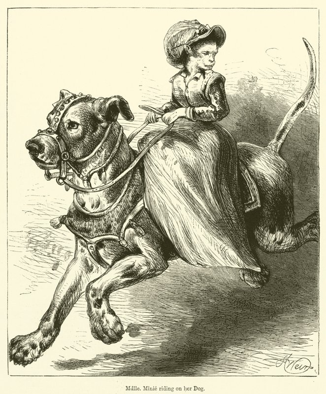 Mademoiselle Minie montando su perro de English School