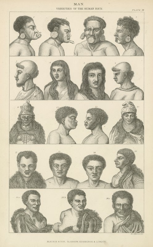 Hombre. Variedades de la raza humana de English School