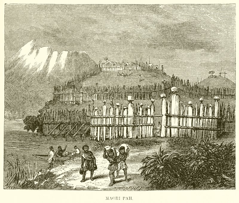 Pah Maorí de English School