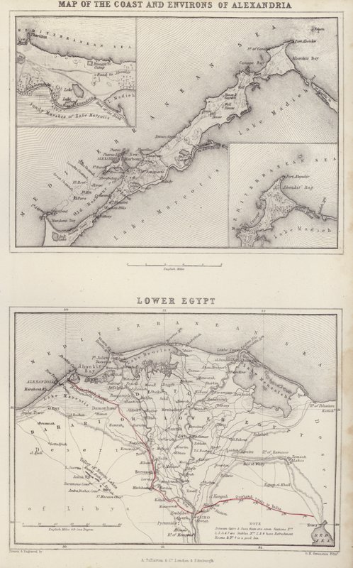 Mapa: Mapa de la costa y alrededores de Alejandría; Bajo Egipto (litografía en color) de English School