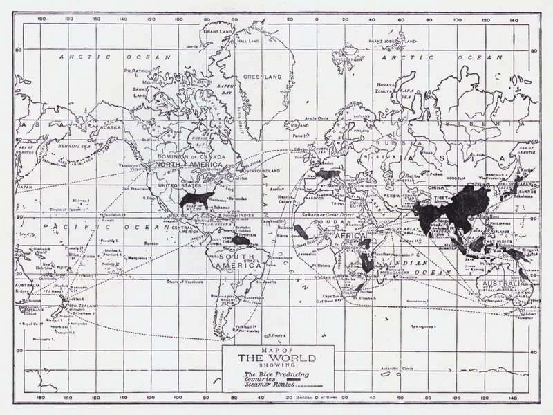 Mapa del mundo con los países productores de arroz (litografía) de English School
