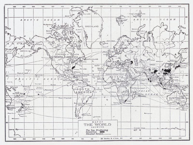 Mapa del mundo mostrando los países productores de té de English School