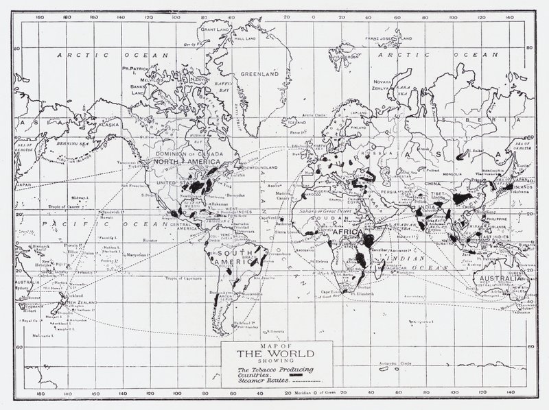 Mapa del mundo mostrando los países productores de tabaco de English School