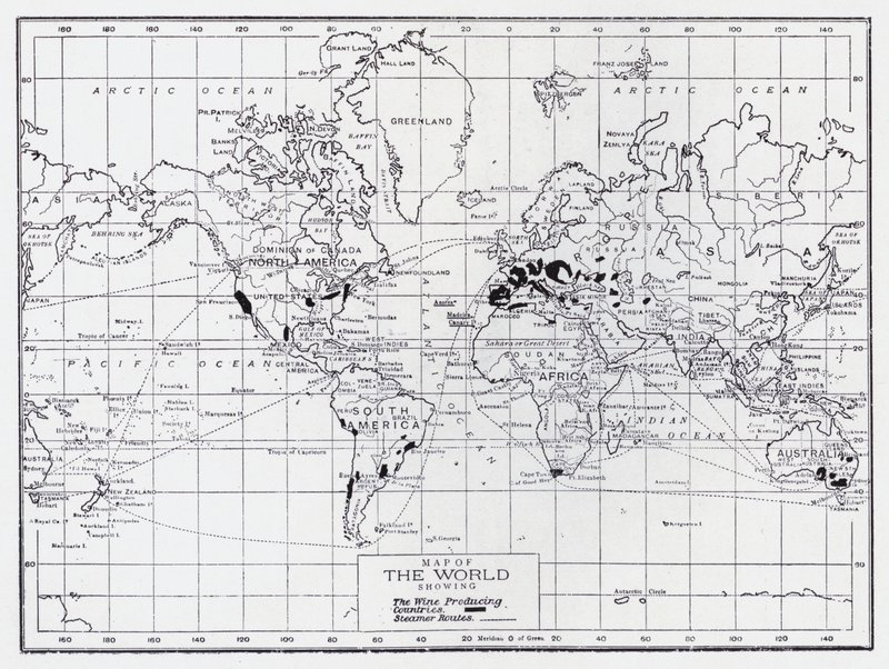 Mapa del mundo que muestra los países productores de vino (litografía) de English School