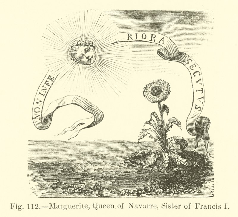 Margarita, Reina de Navarra, Hermana de Francisco I de English School