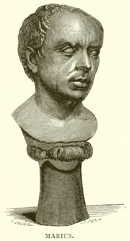 Mario de English School