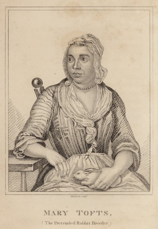 Mary Tofts, La Falsa Criadora de Conejos de English School