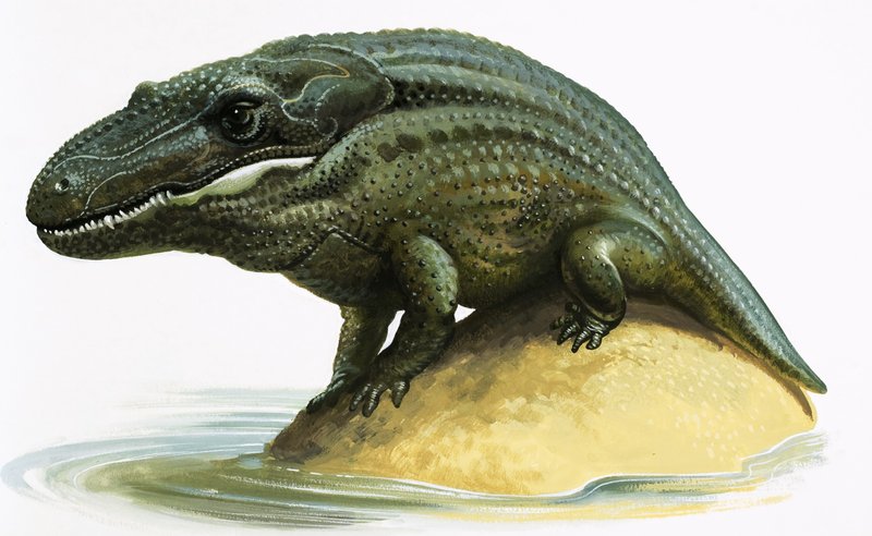 Mastodosaurus de English School