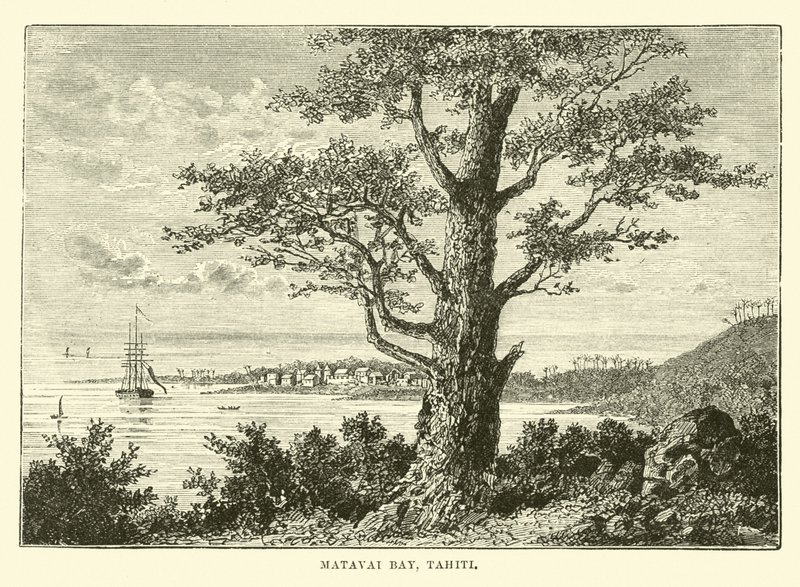 Bahía de Matavai, Tahití de English School