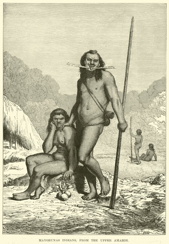 Indios Mayorunas, del Alto Amazonas de English School