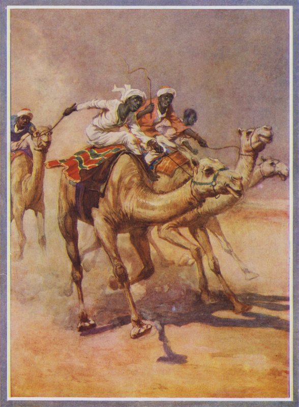 Hombres montando camellos en una carrera en el desierto (litografía en color) de English School