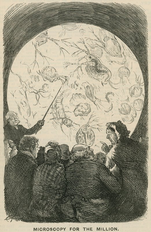 Microscopía para el millón de English School