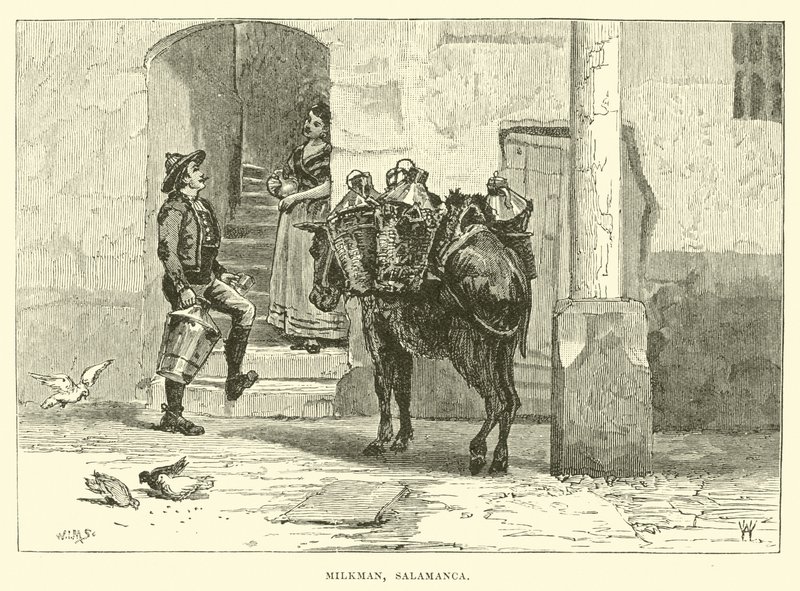 Lechero, Salamanca de English School