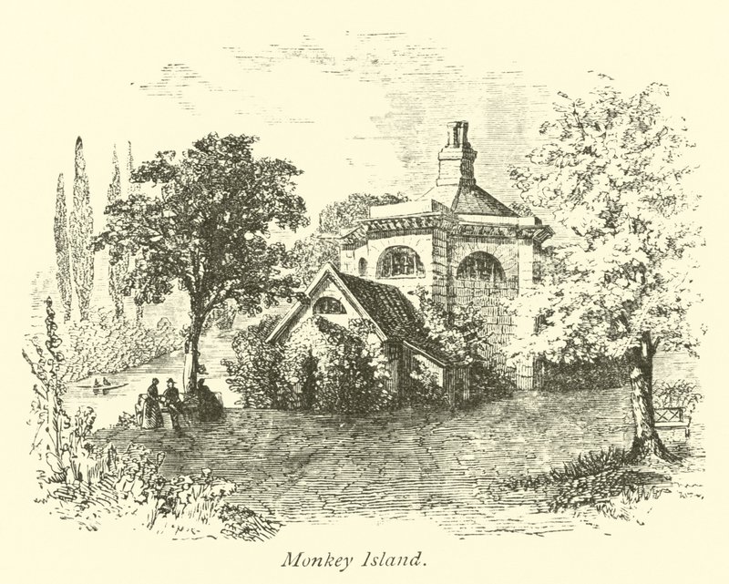 Isla del Mono de English School