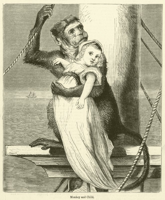 Mono y niño (grabado) de English School