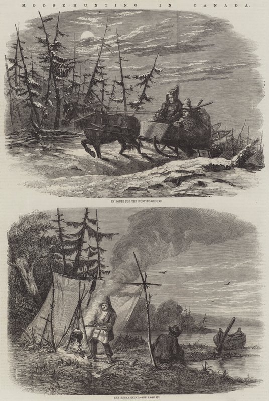 Caza de alces en Canadá (grabado) de English School