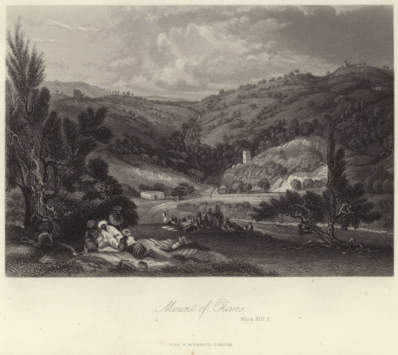 Monte de los Olivos de English School
