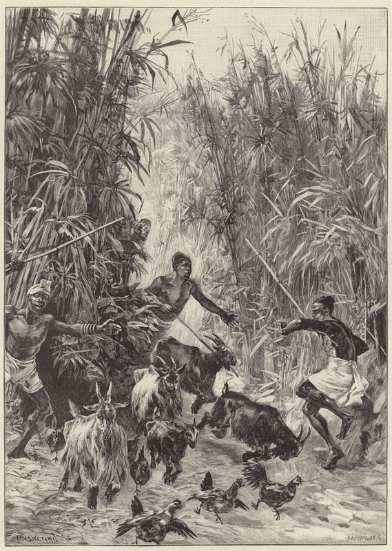La expedición de rescate de Emin Pasha por el Sr. H. M. Stanley de English School
