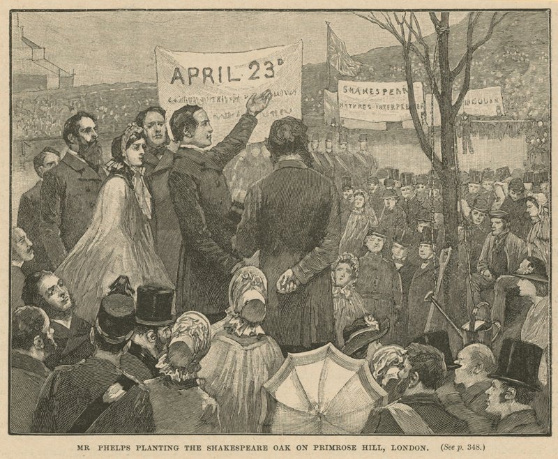 El Sr. Phelps plantando el Roble de Shakespeare en Primrose Hill, Londres de English School